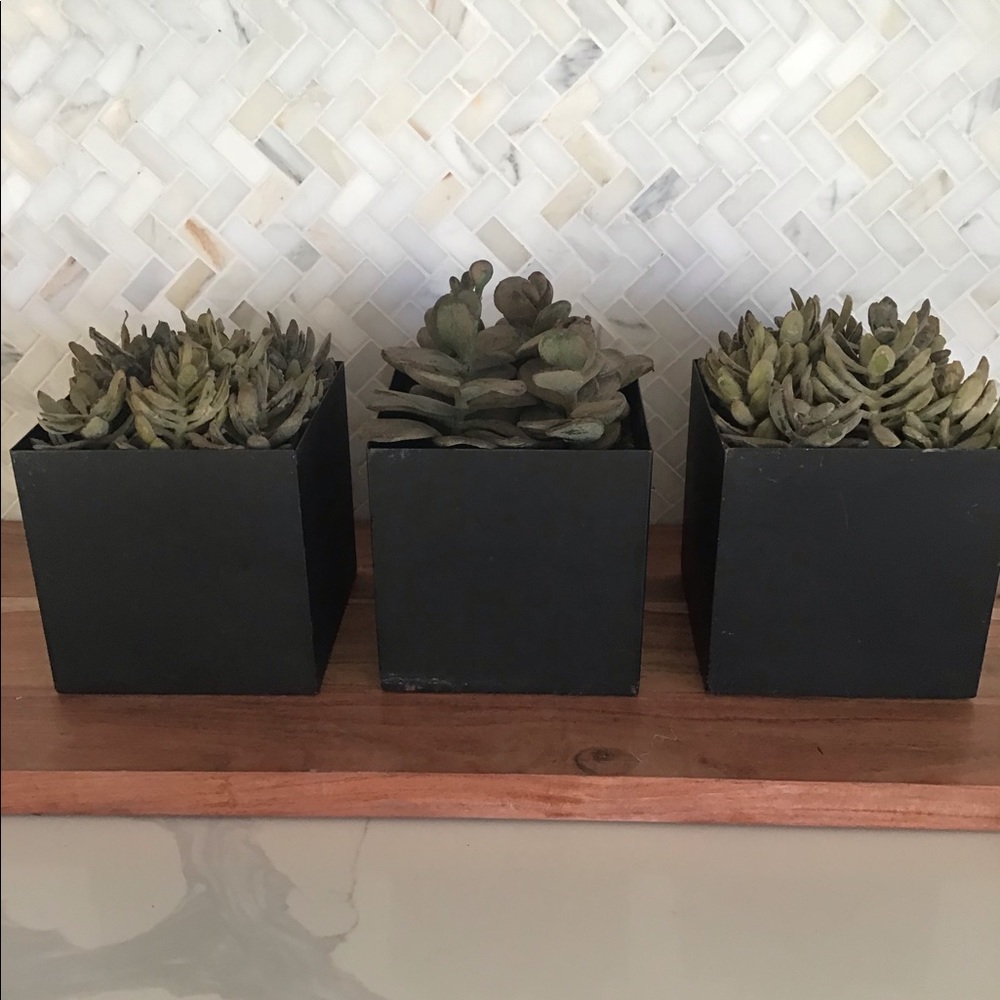Three Faux Succulents In Distressed Metal Planters